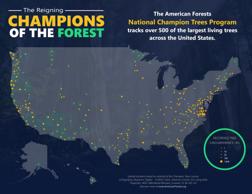 Map showing the United States and the locations of champion trees displayed as points.